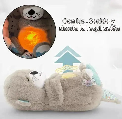 Dorminutria Terapéutica